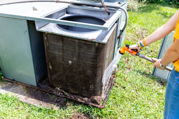 Best HVAC Duct Inspection Services  in Winthrop, MN